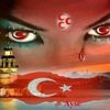 asena.gktu