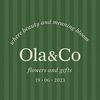 olahamed_35