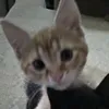 geovana.cardoso89