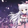 lira._nyancake