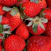 team.strawberry.17