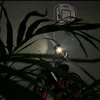 luckzim8