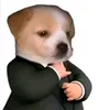 kdsayhi