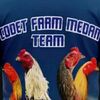 papa.ayam4