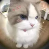 ttztt._02