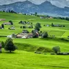 مصطفى 🇨🇭
