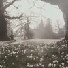 hvx.ln