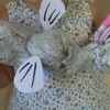 かのん