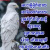 user49415045303116
