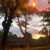 vthianh6