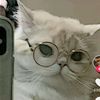 zulaikha_661