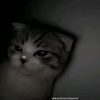 user282060764