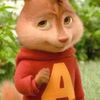 say24638