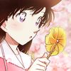 ran.mori681