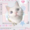 stan_kholie56