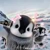 sa.cutena