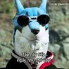 Kingofnoj