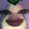 casssssssssssssssssssssy