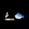 fish_8001
