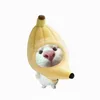 meoquien