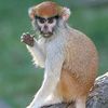 abdoulay.alhadi