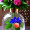 talib.hussain6708