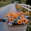 todan_87