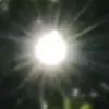neonnii_0