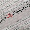 abodalhmd2