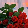 user098152347user