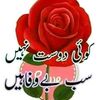 bashir.khan4030