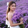 ngwe.zin561