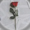 data3030