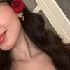 vaiopj19