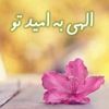 user7815886506658