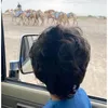 مرقاب.