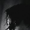 luis_cervy