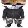 didi_7_3
