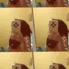 ciluung4