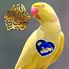 user1170537251753