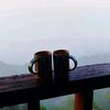 shahnpl1