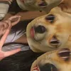 bonminhbannucuoi