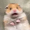 io_o.iz
