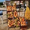 rania_djerba