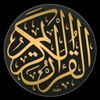 jinsar.ali701
