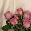 zozo_0260