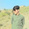haider.abbas7288