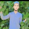 naveedkhanbjr2025