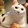 aryasy21