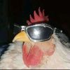pyse_djysa